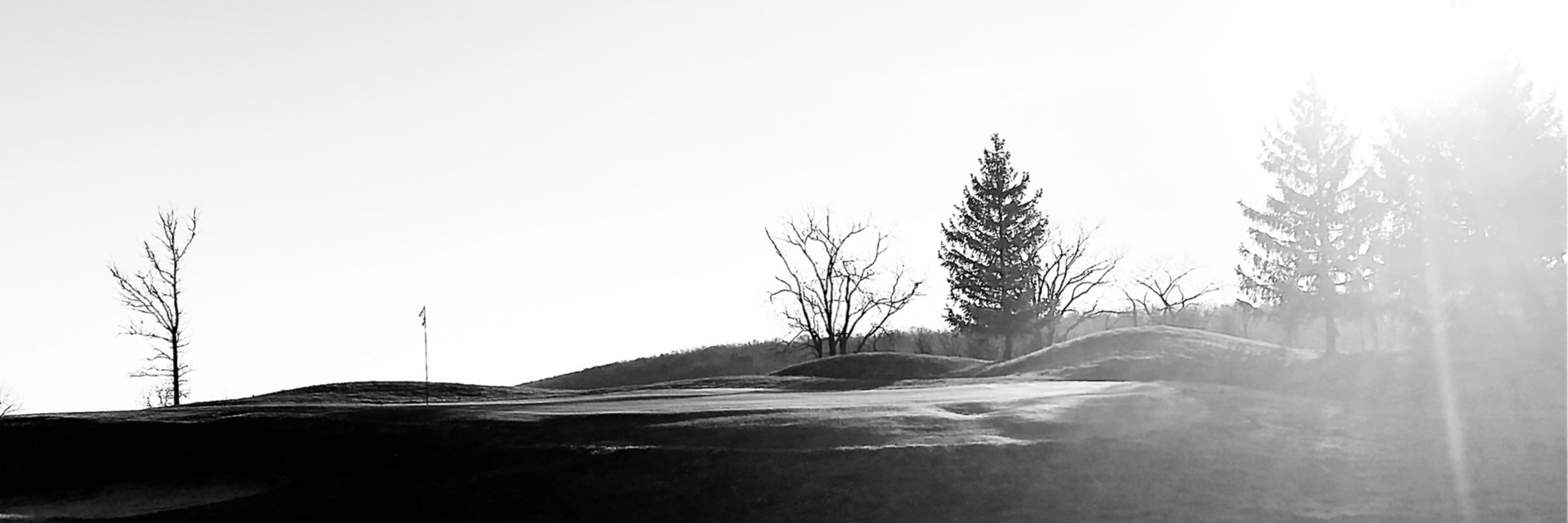 The Next Tee