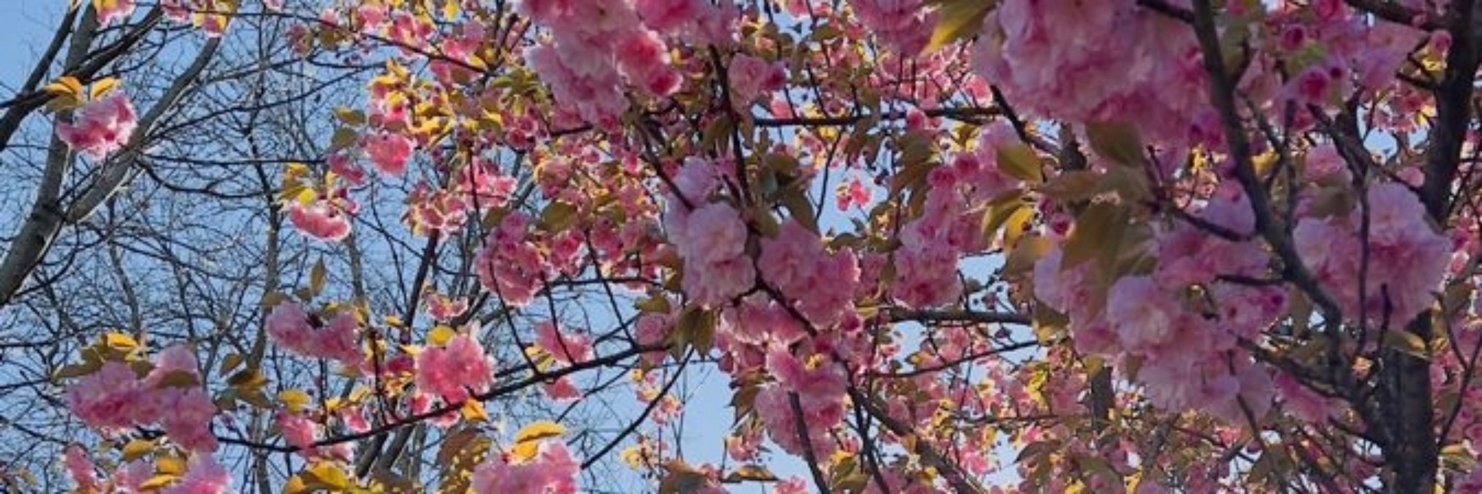 ☆✧  🎀  𝒥𝑒𝓃𝓃𝒾  🎀  ✧☆