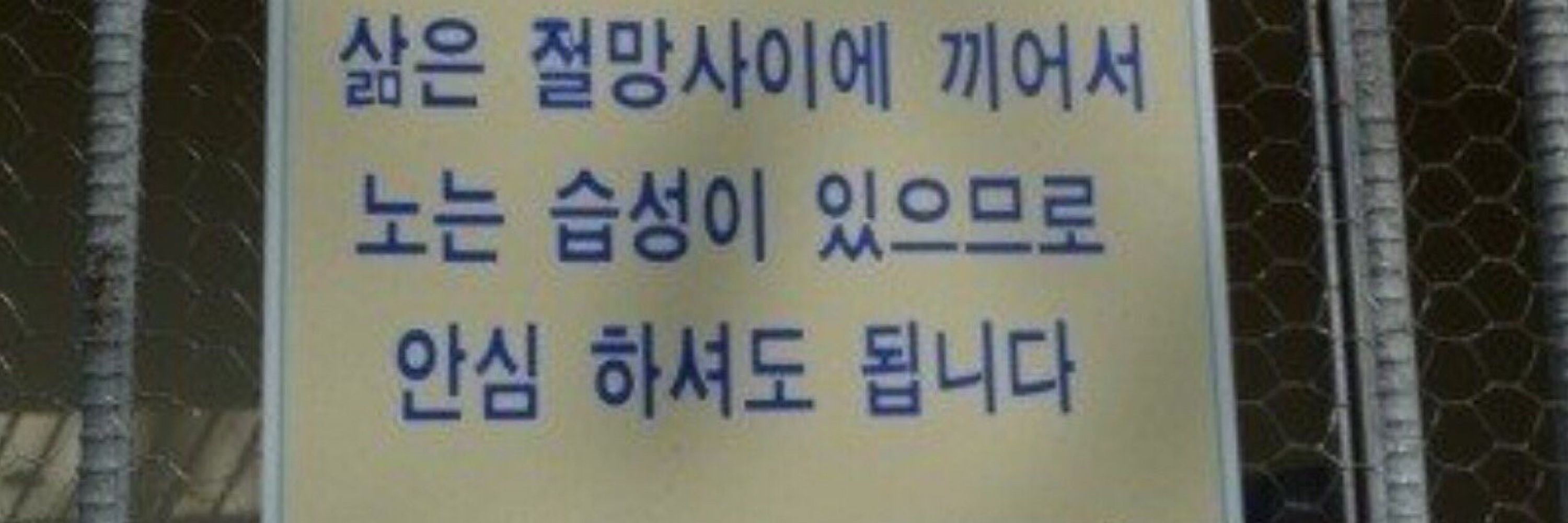 피보