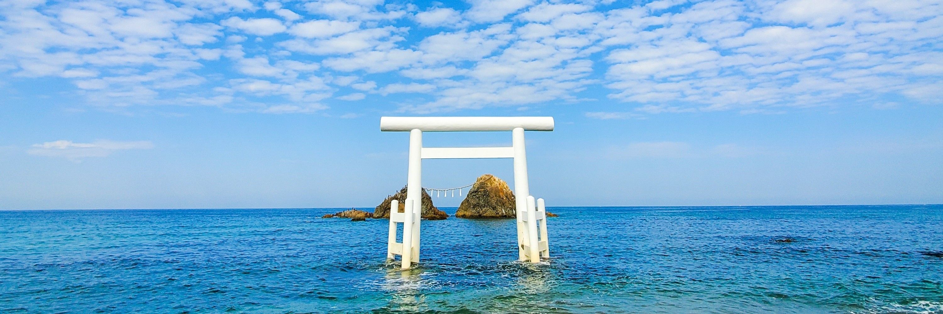 now鹿