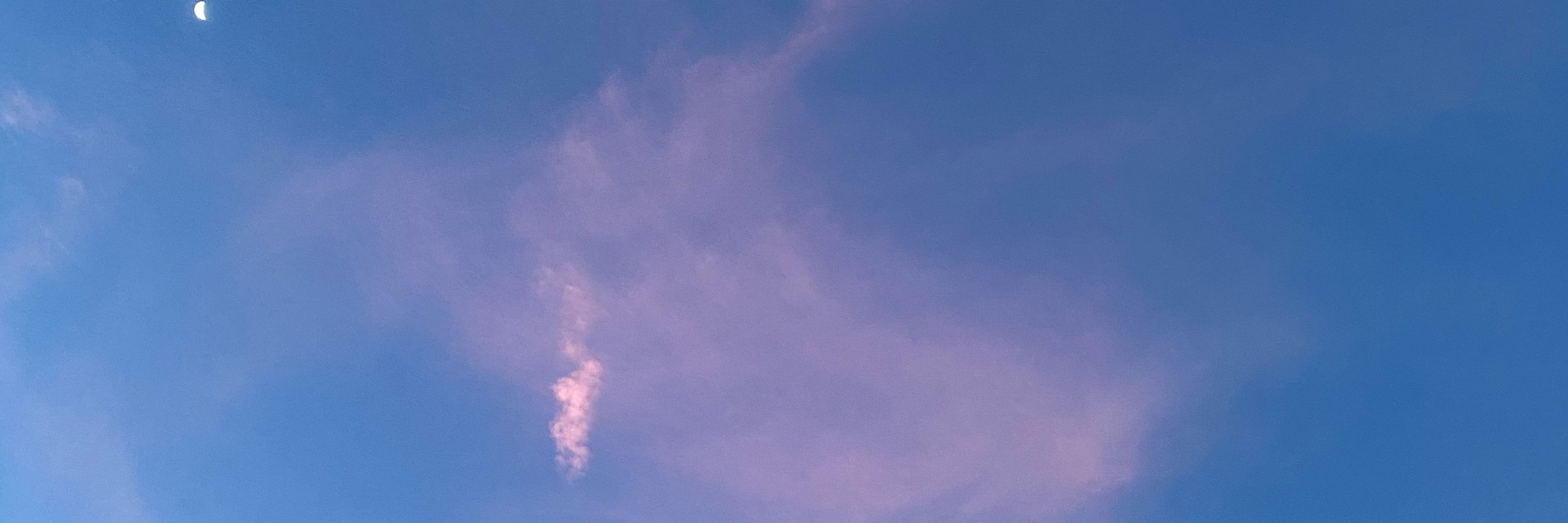 Tória 🦋