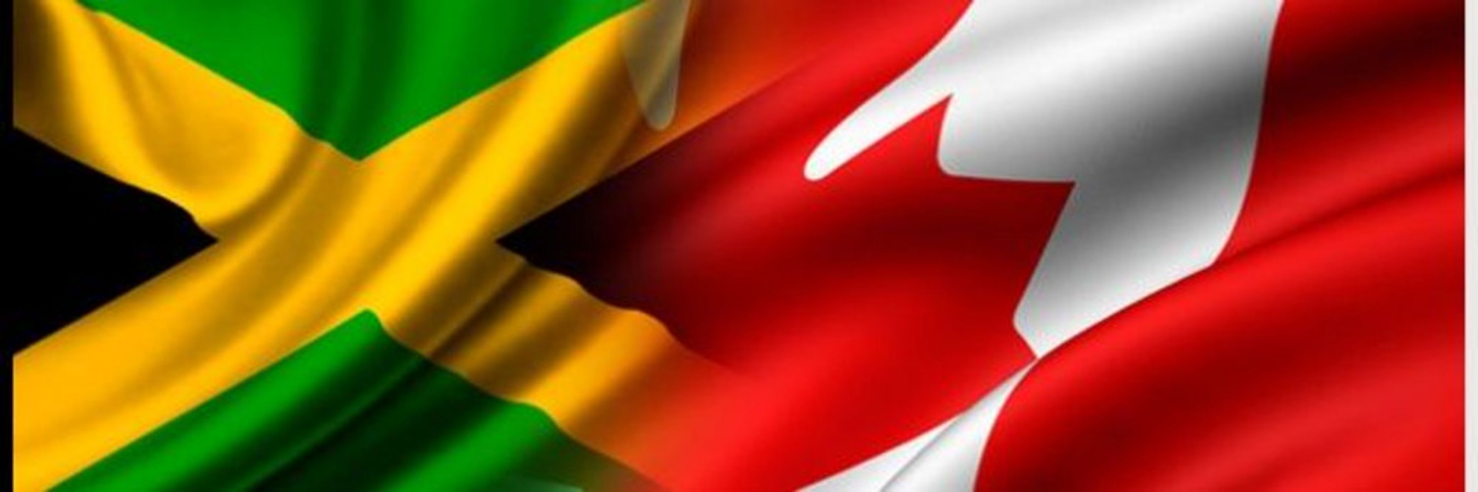Ladii Momo 🇯🇲🇨🇦