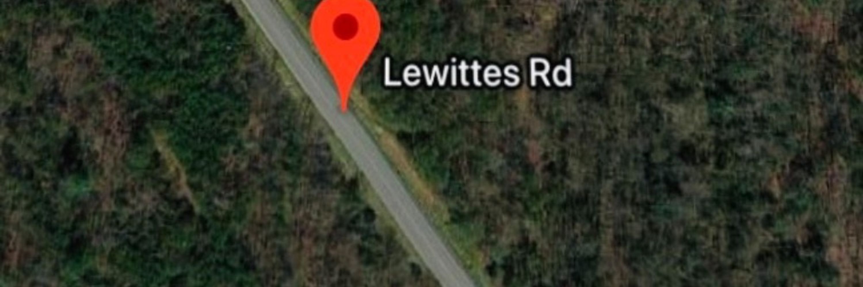 Michael Lewittes