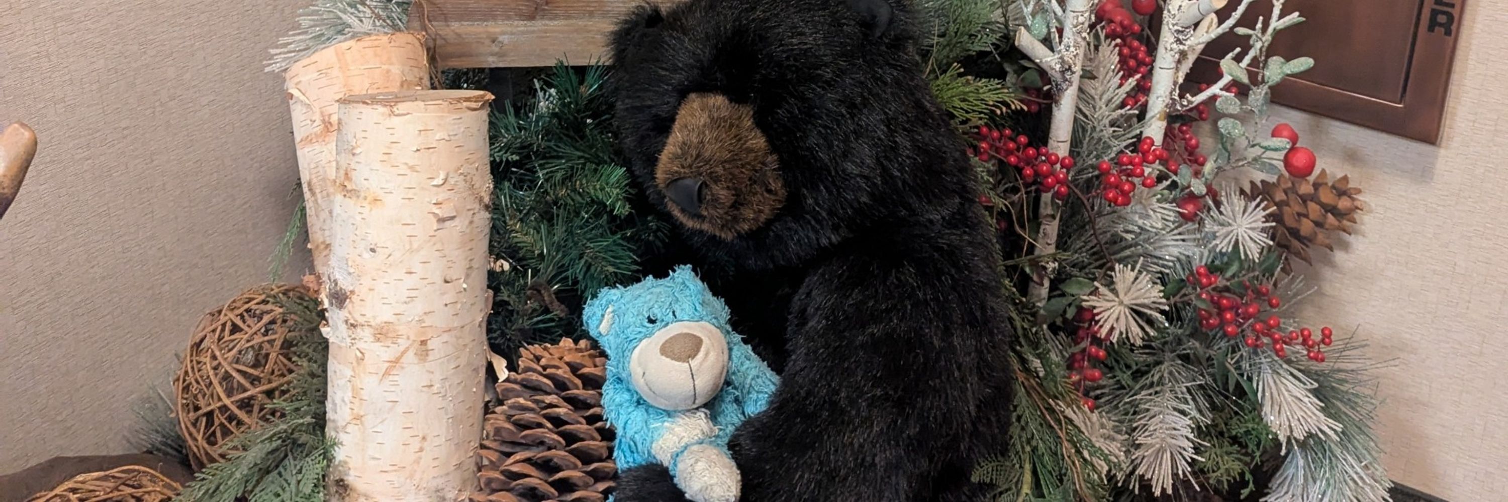 Chilly Bear