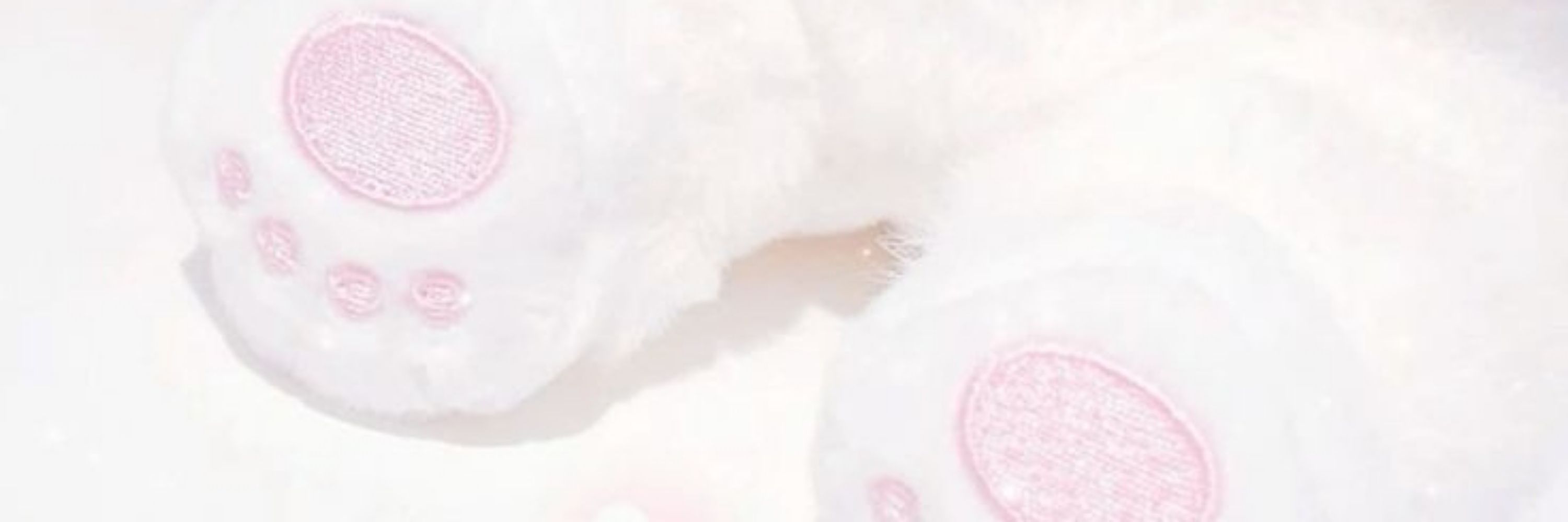 lu워빈 ♡
