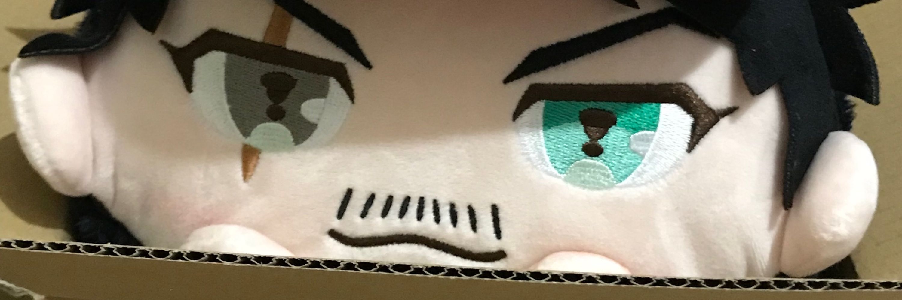 rob