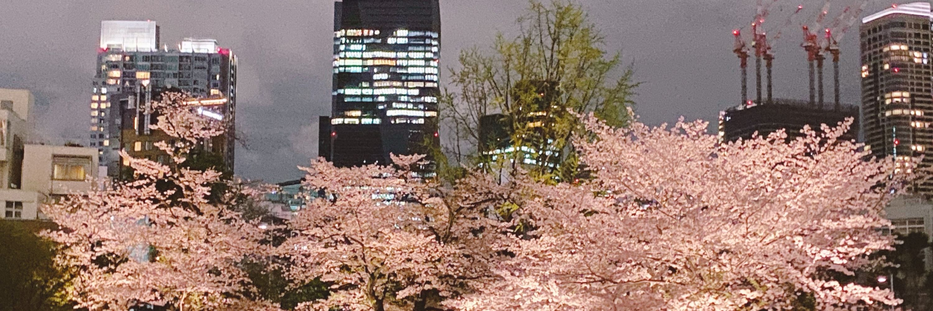 ゆうばり