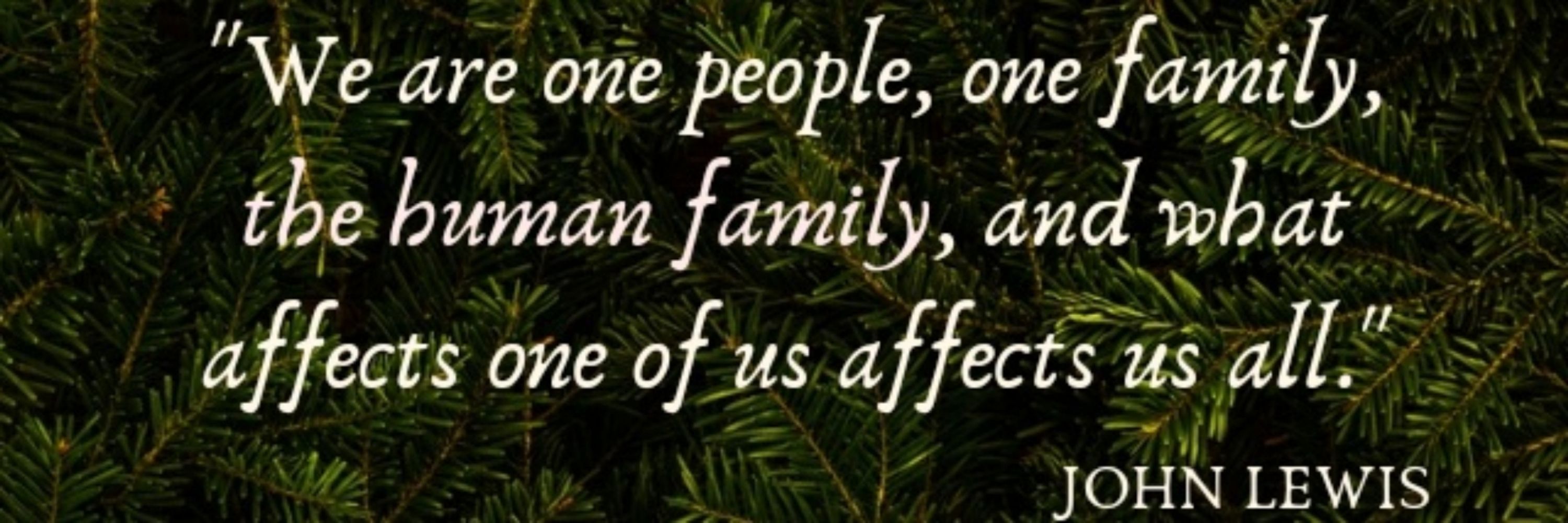 The Gaza Giving Tree