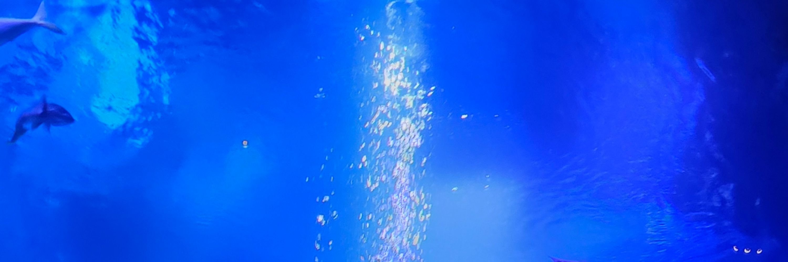 水月ミキネ