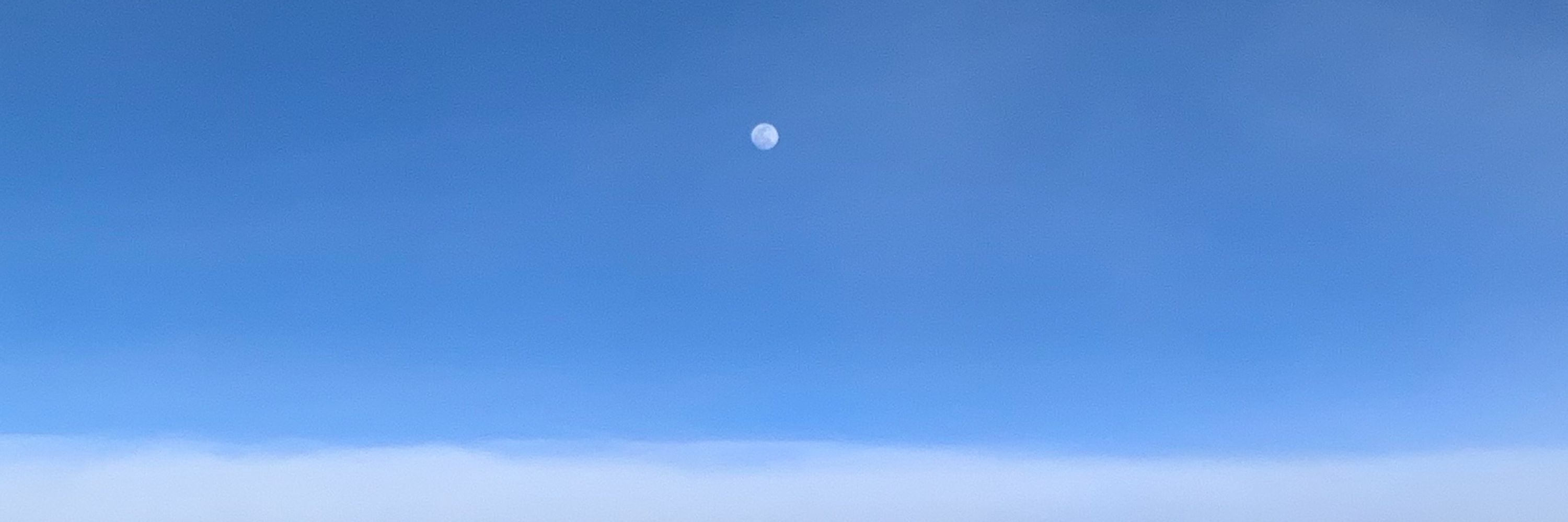 かにょん