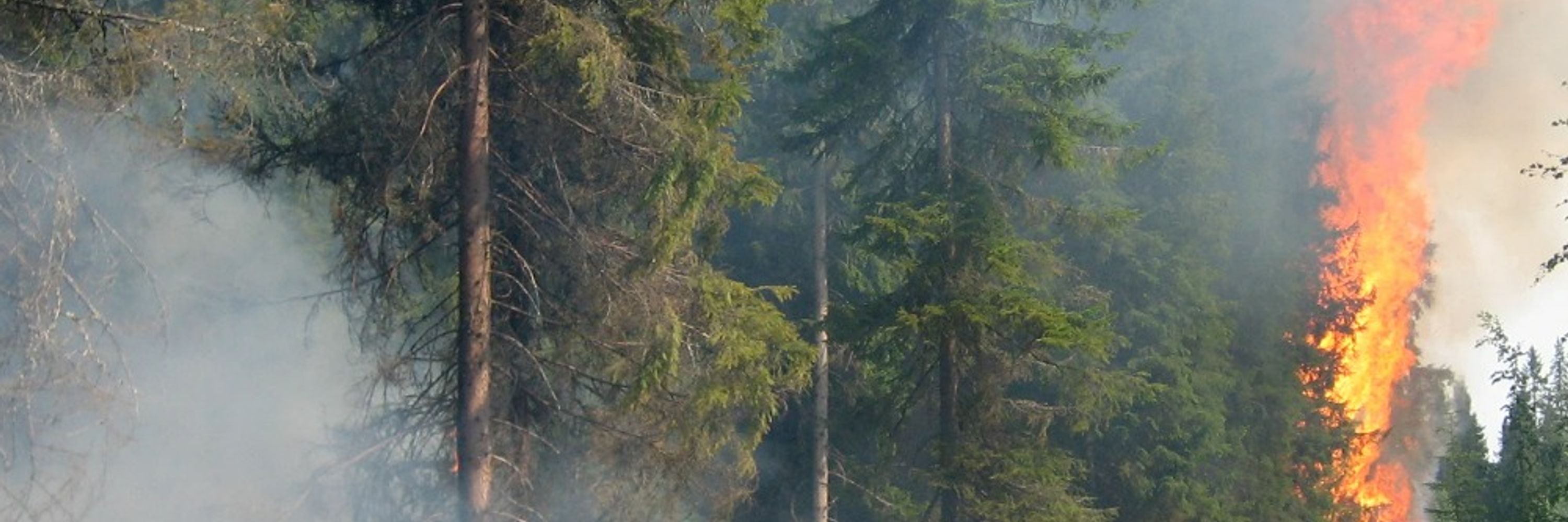 Aaro Riitakorpi
