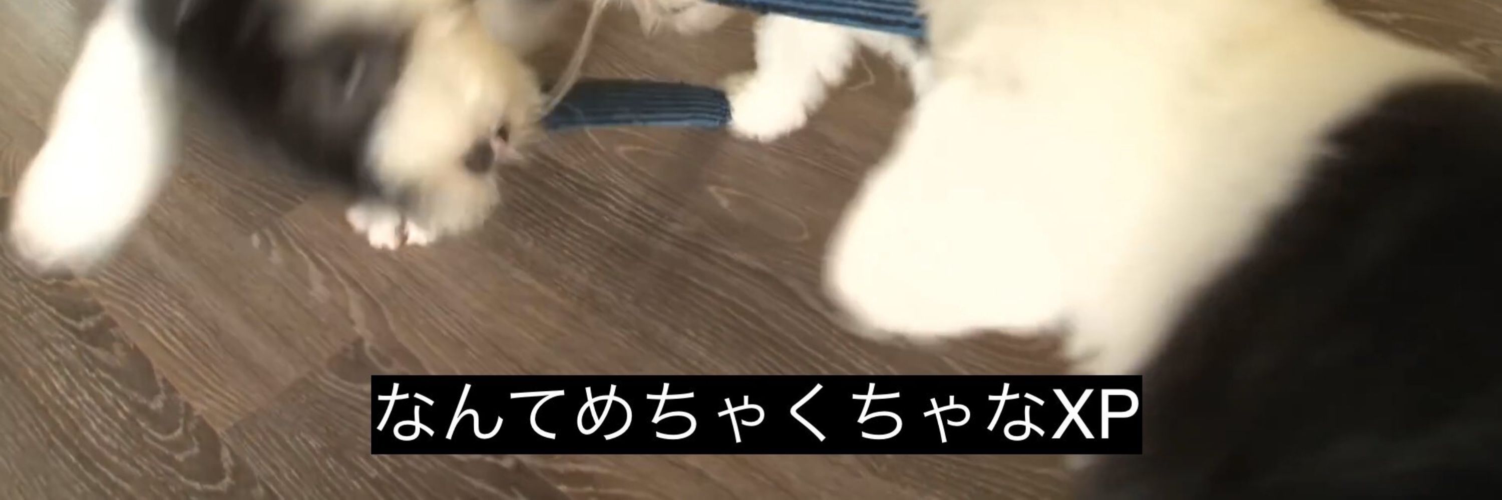 にー