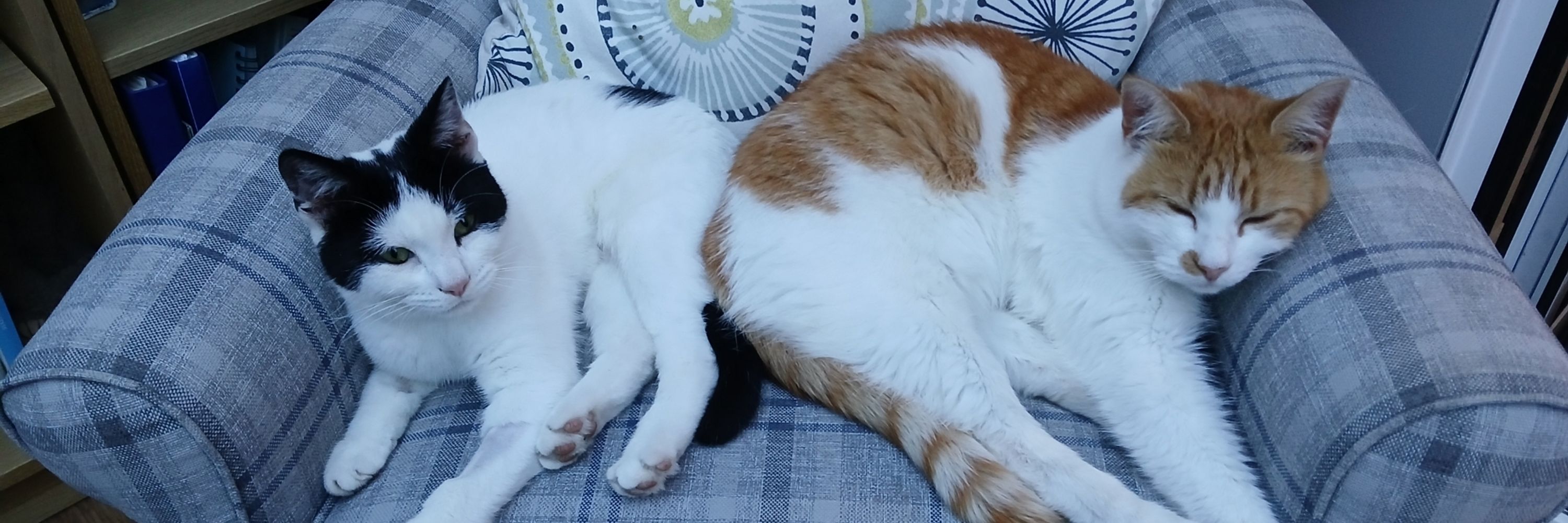 Al
