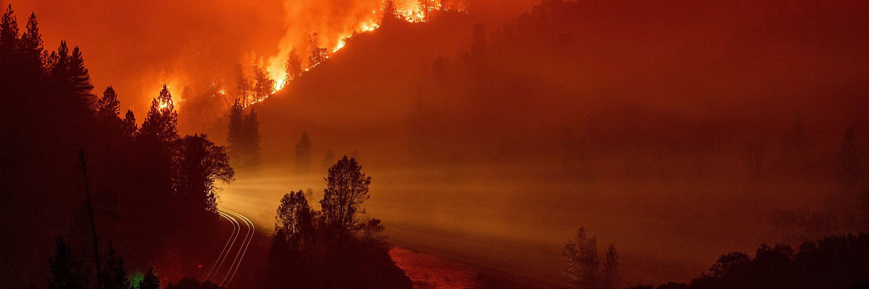 Everything burns...