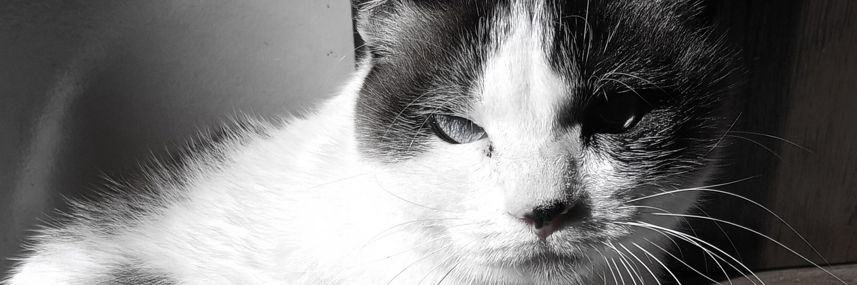 rita. 