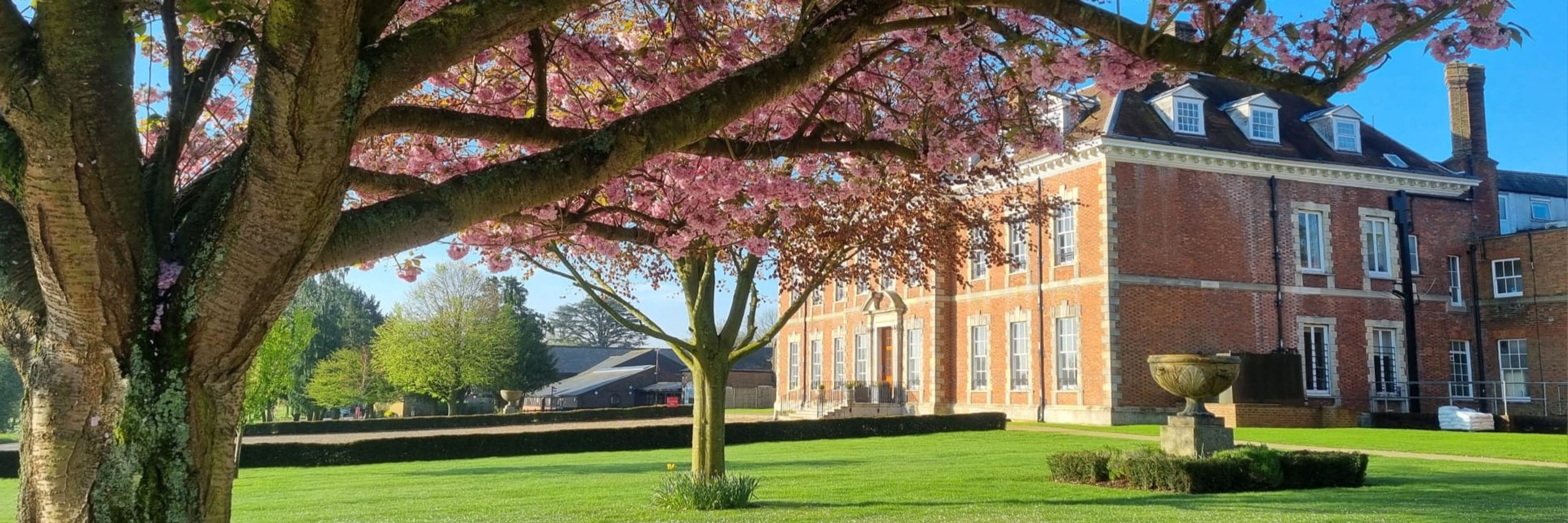 Beechwood Park School
