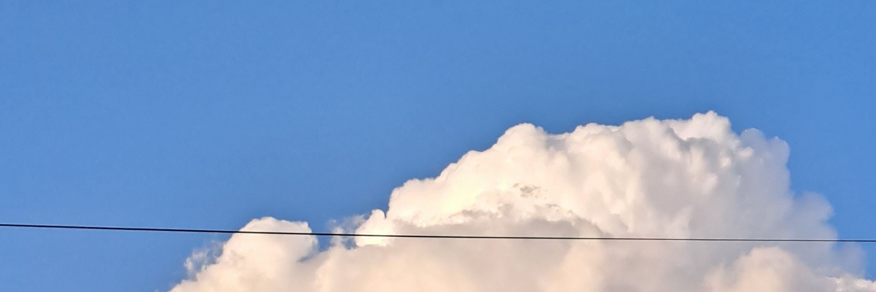 연유