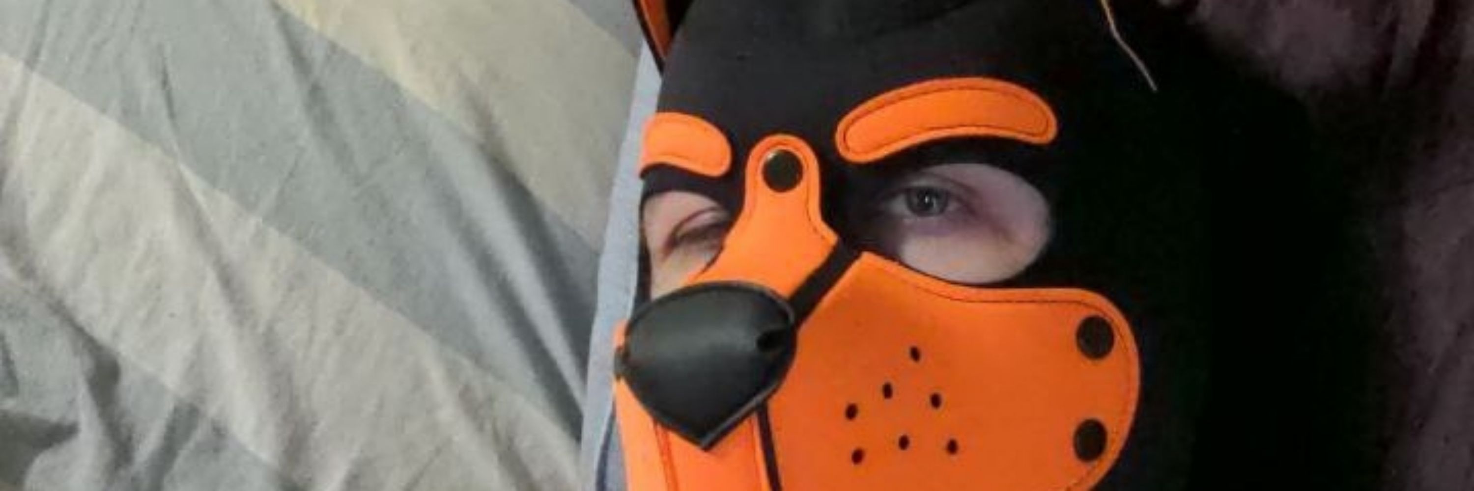 IllusiveBork