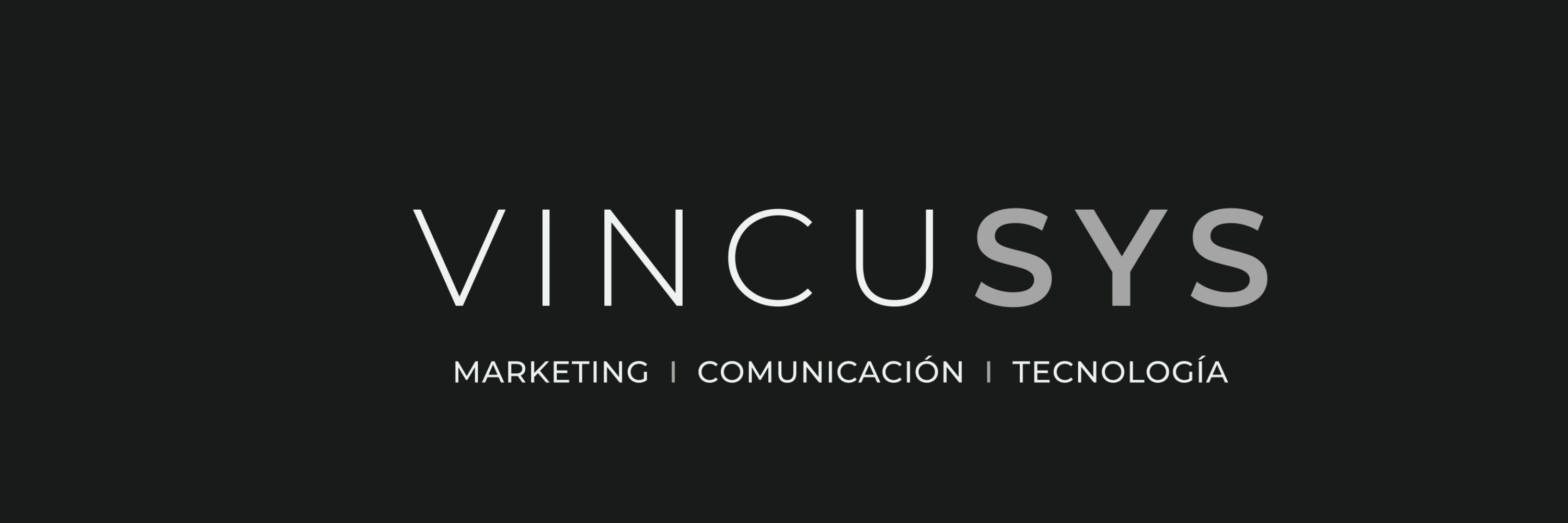 VINCUSYS