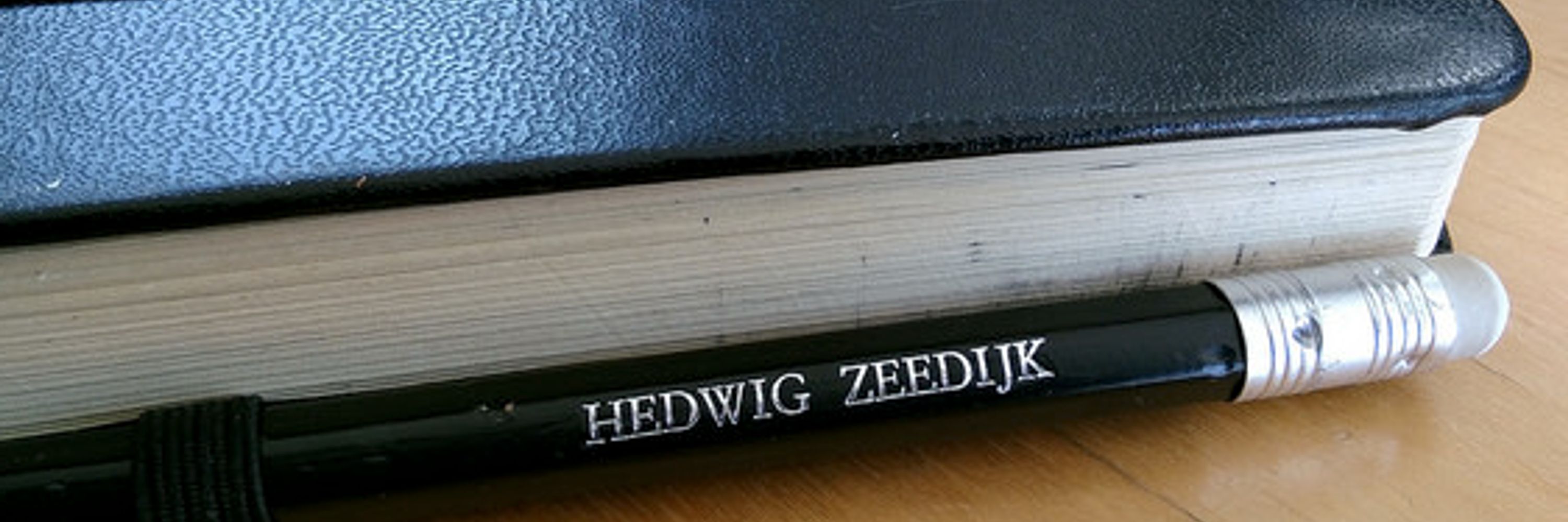 Hedwig Zeedijk