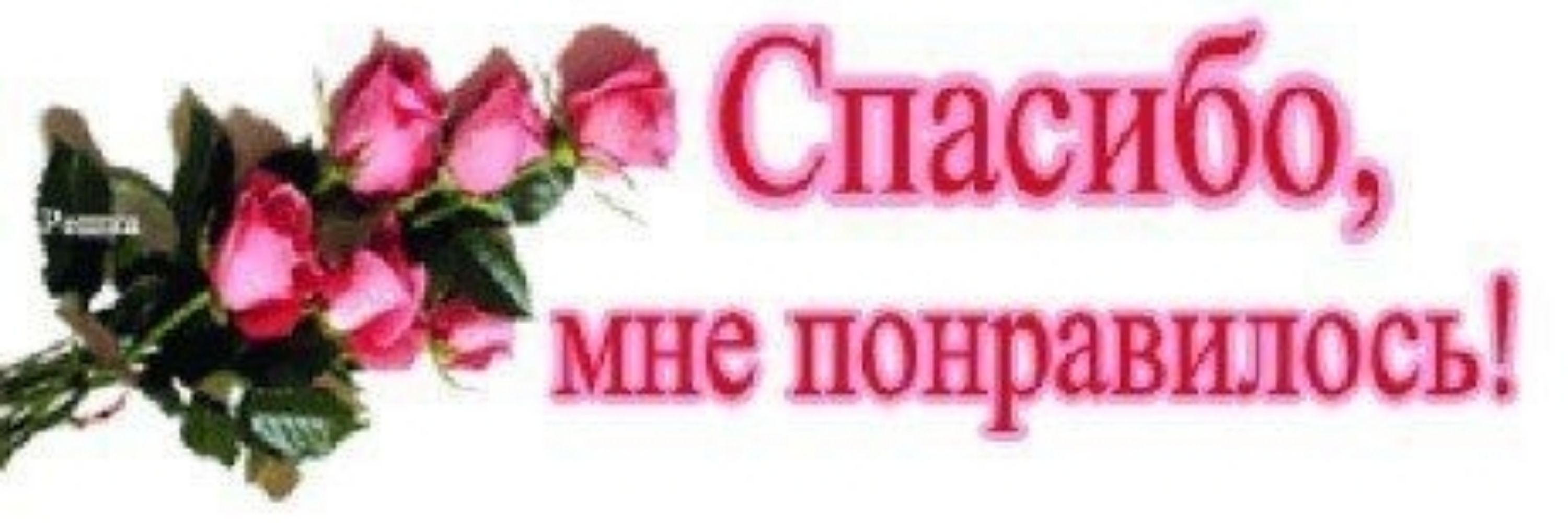 qkirpi 