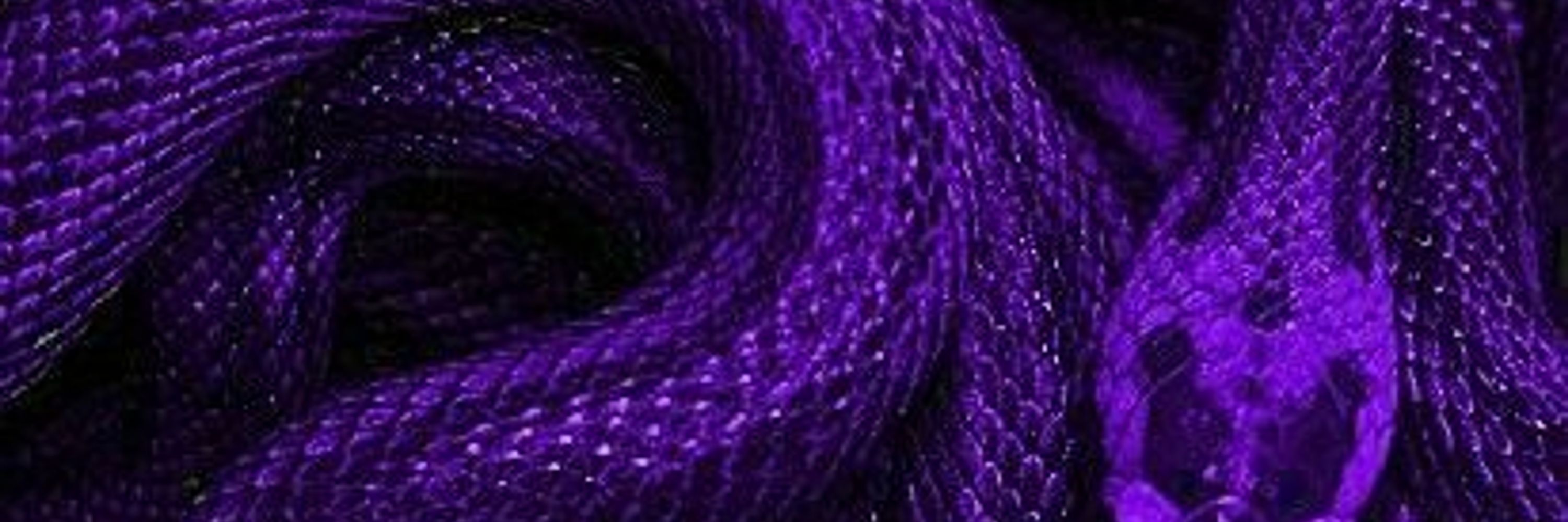 ThePurpleSerpent