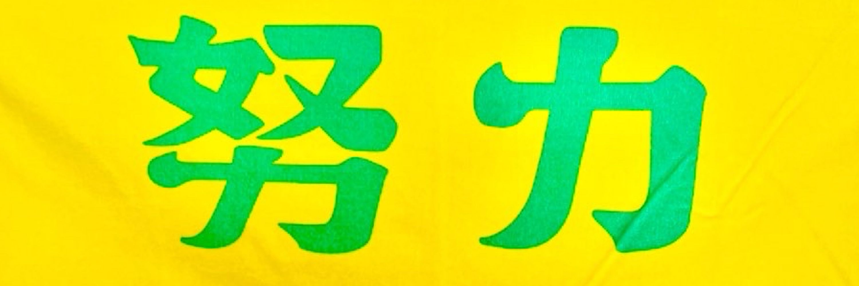 帚木