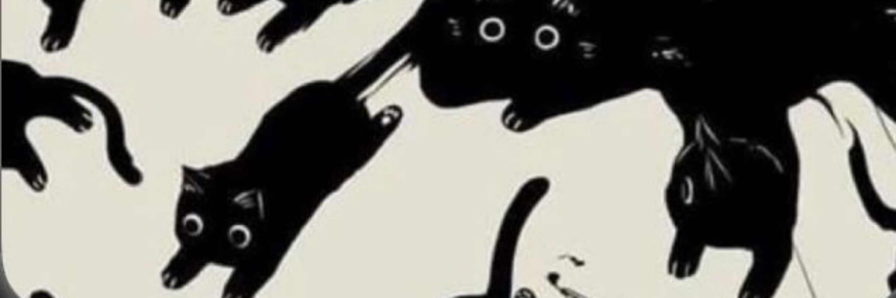 𝑪𝒓𝒊𝒔 