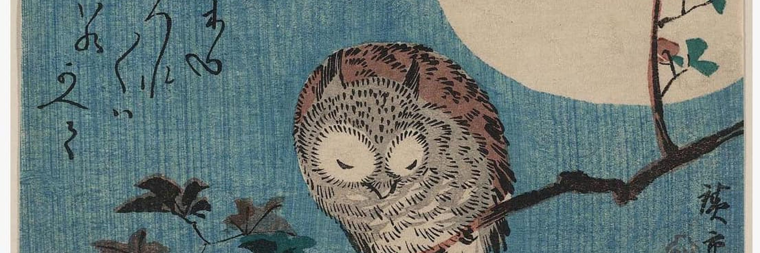 Rae Bird