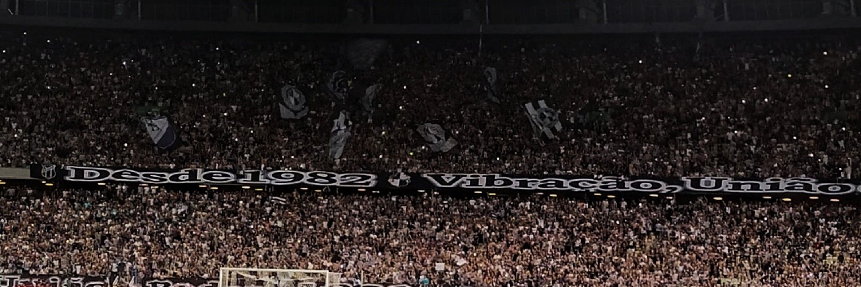 tali csc🏁