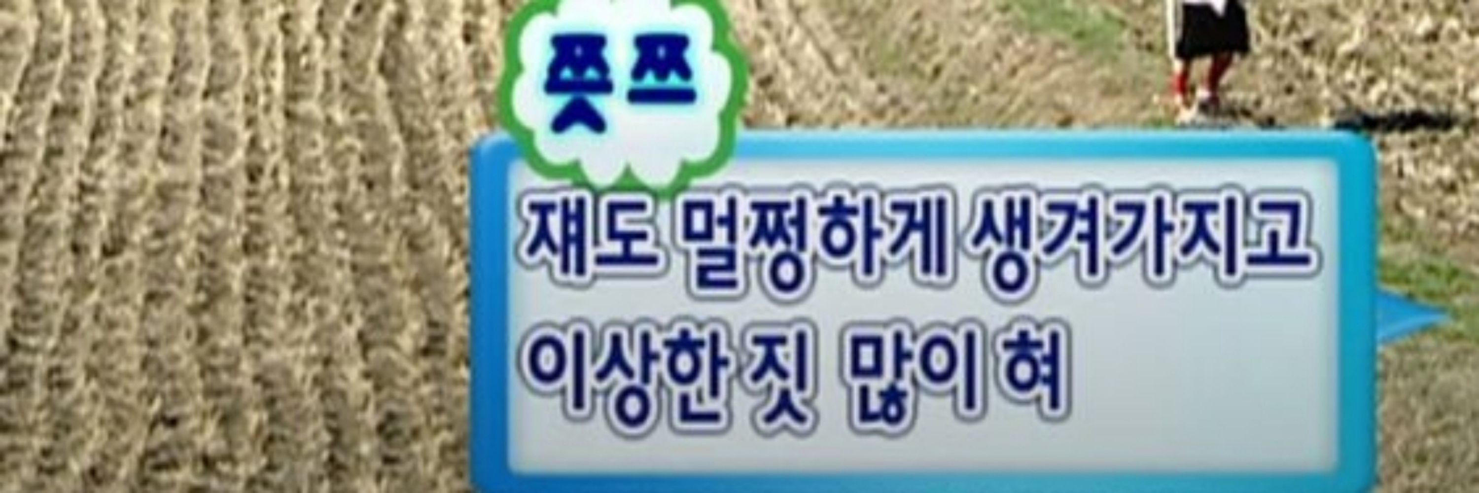 후유미