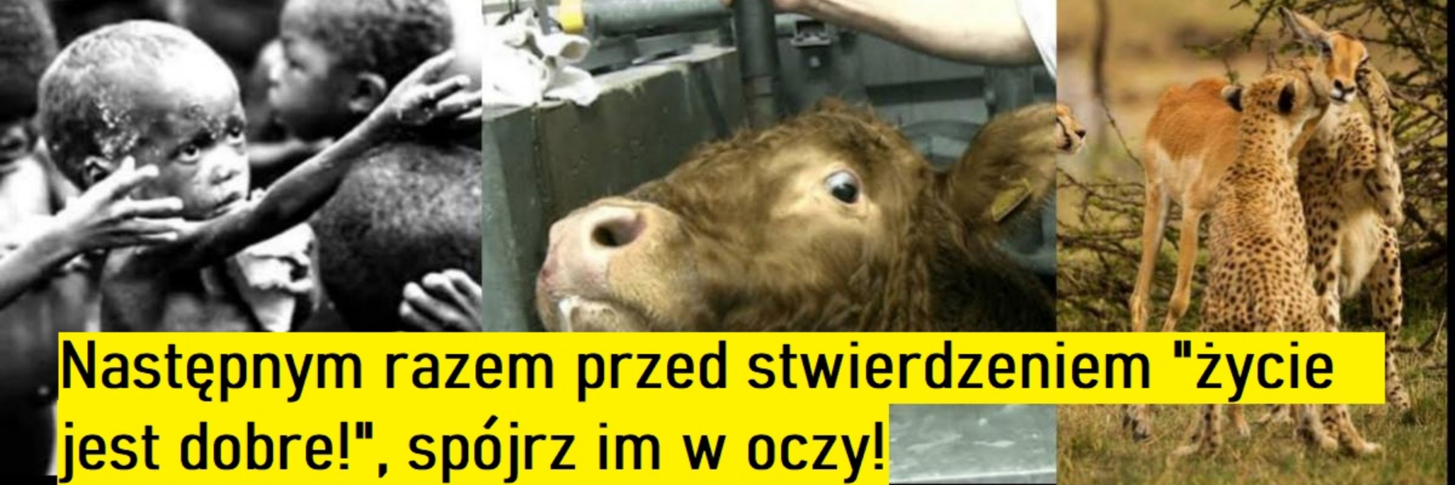ZaWyginięciem