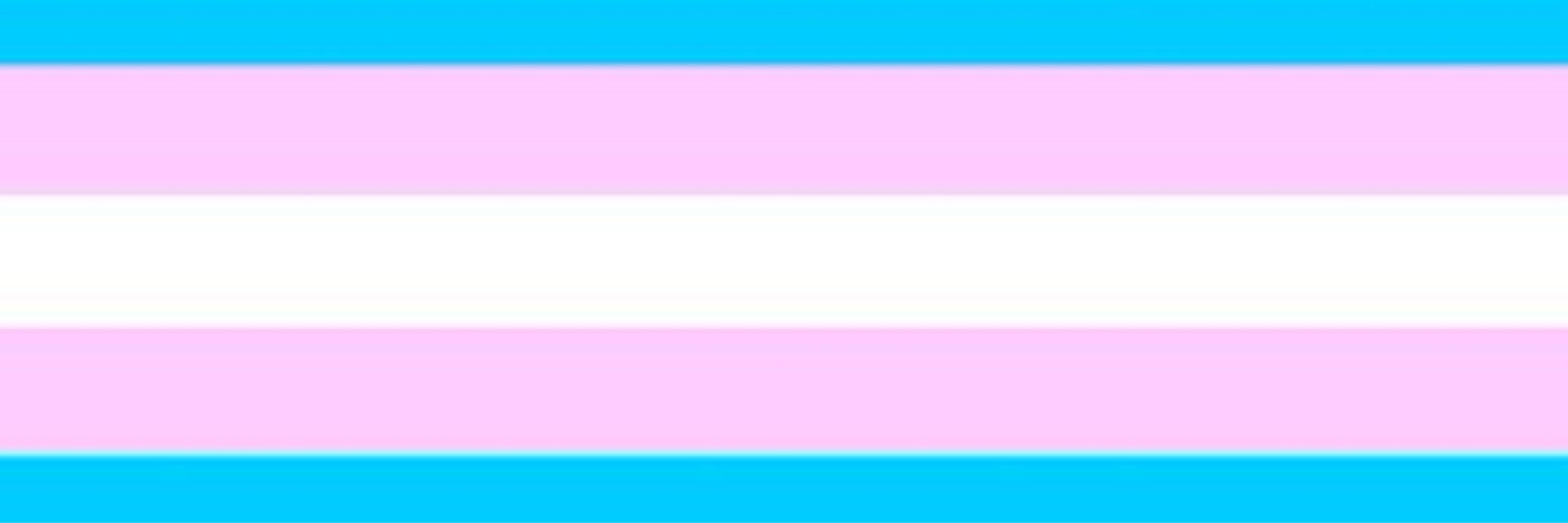 ⬛️🟥🏳️‍⚧️Queer AnCom🏳️‍⚧️🟥⬛️