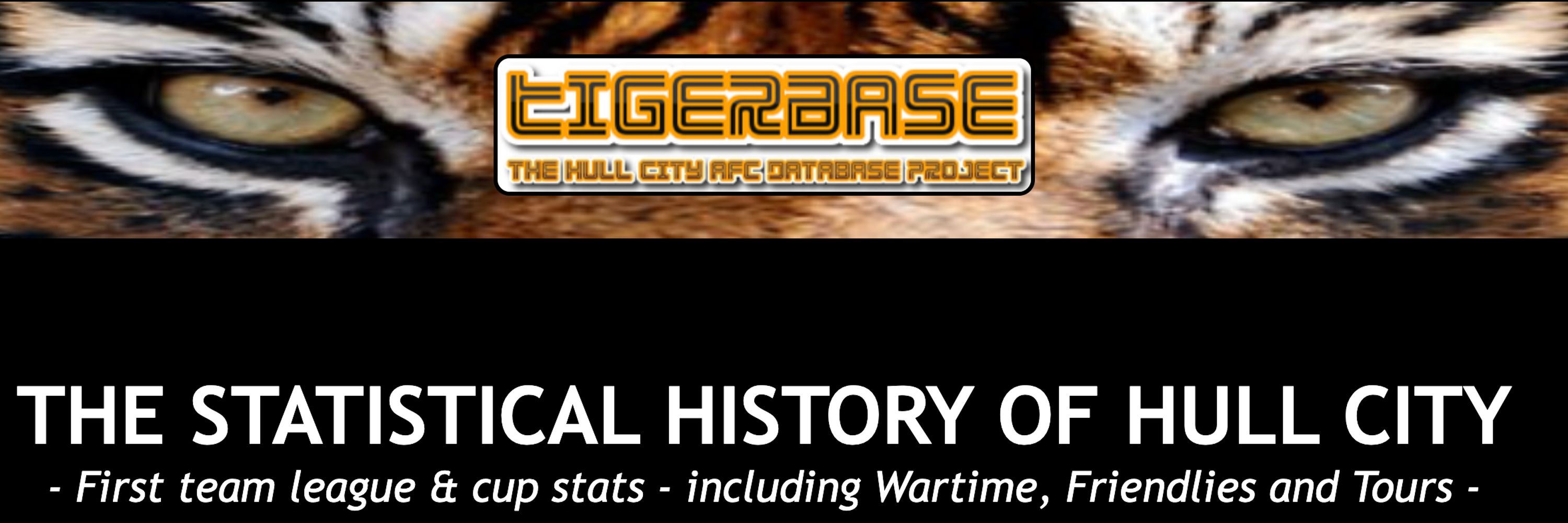 TigerBase - Matt