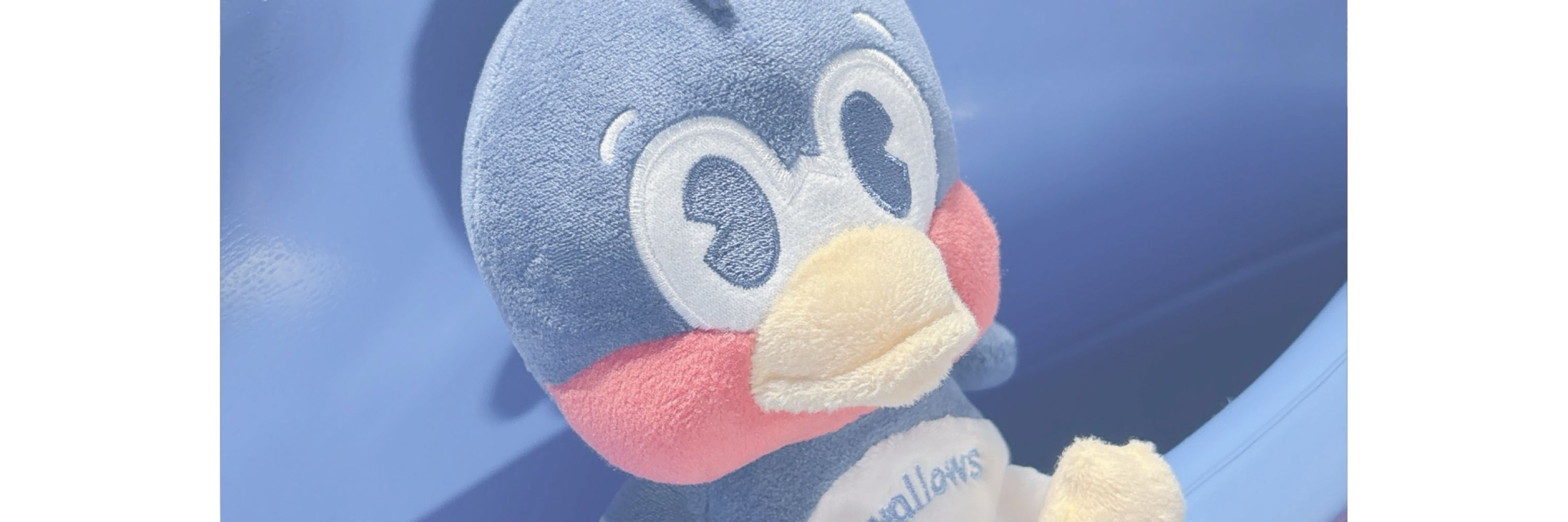 ﾏｻｵ❕