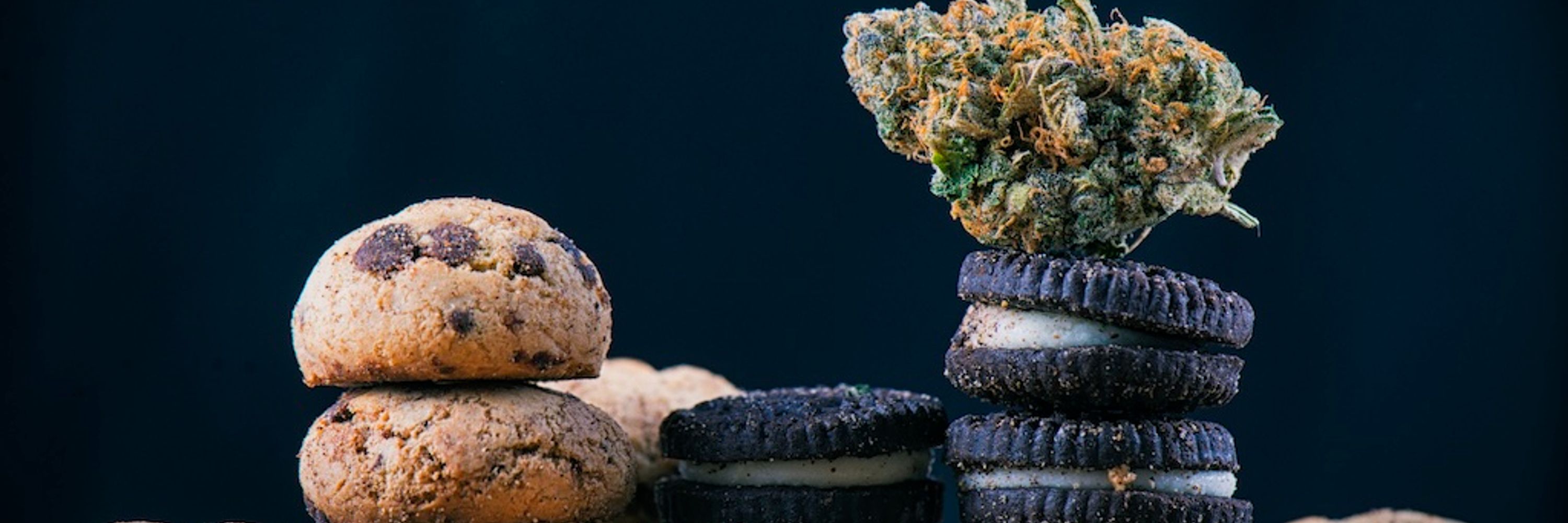 Bite Me The Show About Edibles