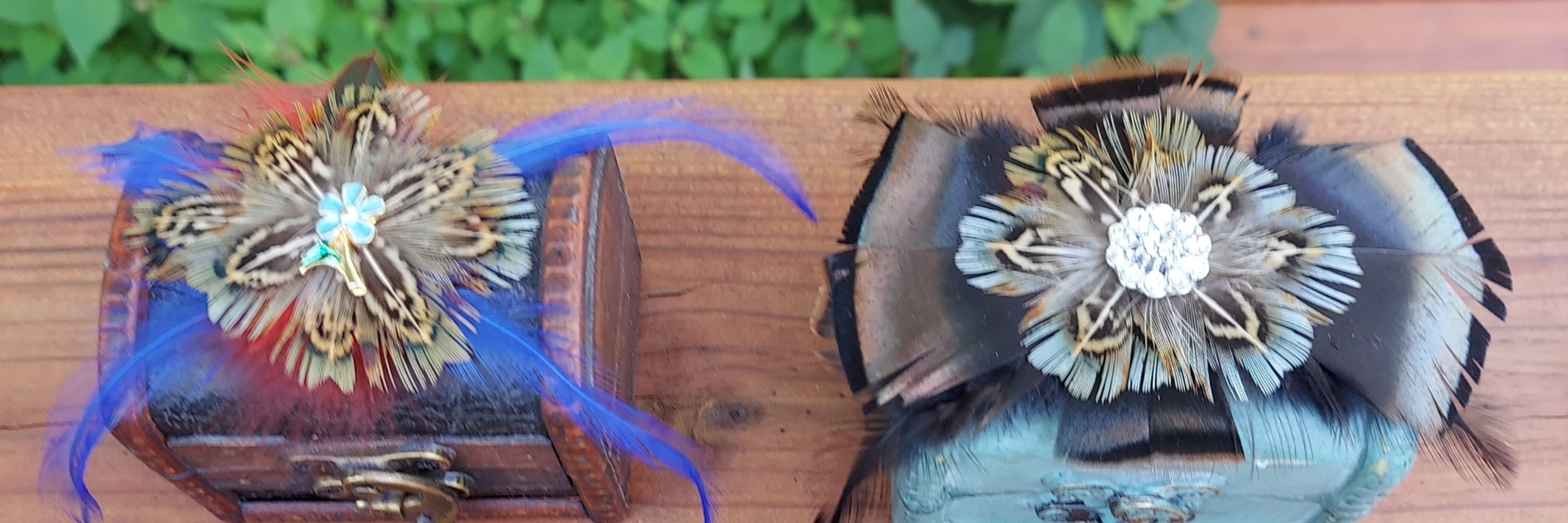 Gypsy Feathers