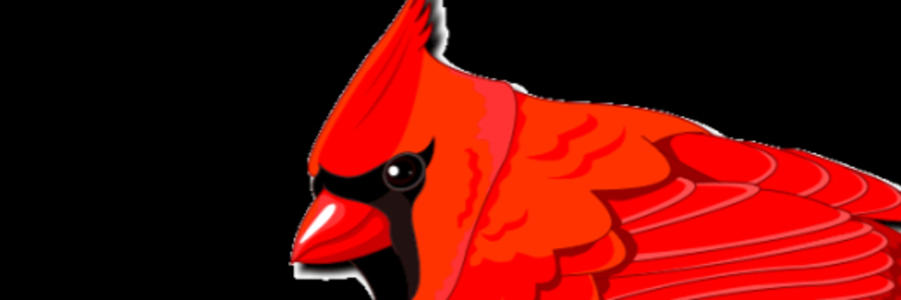 PajaroRojoElBlog