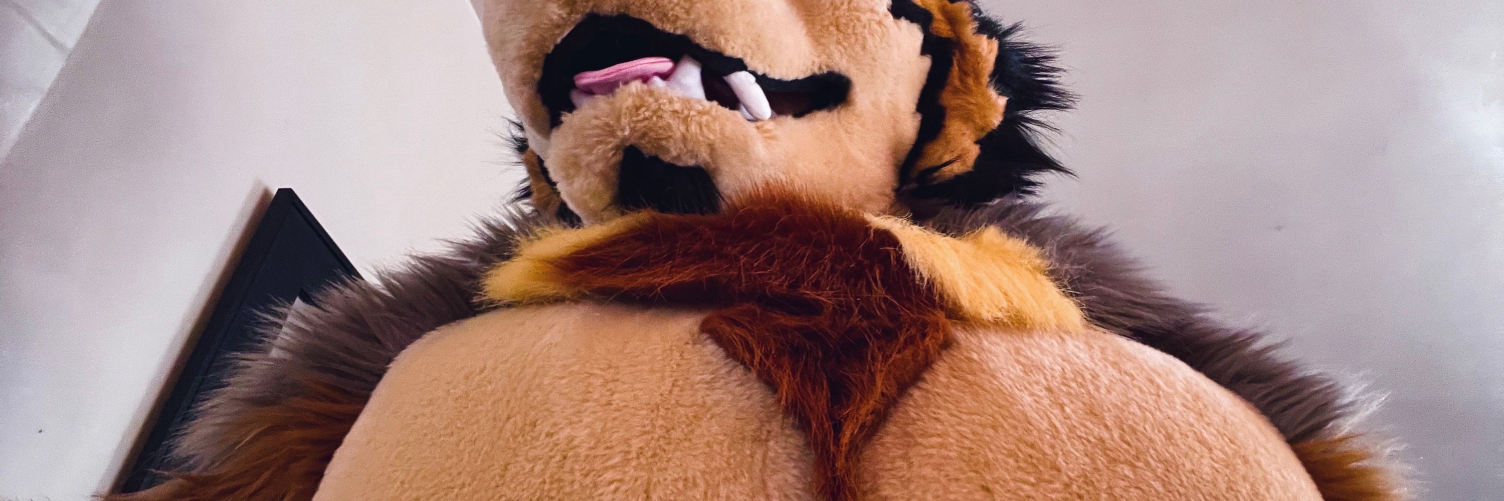 neokai 🔜 FWA