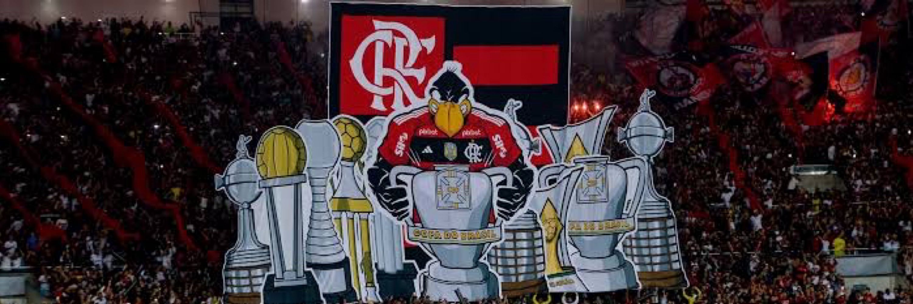 robozinha ᶜʳᶠ