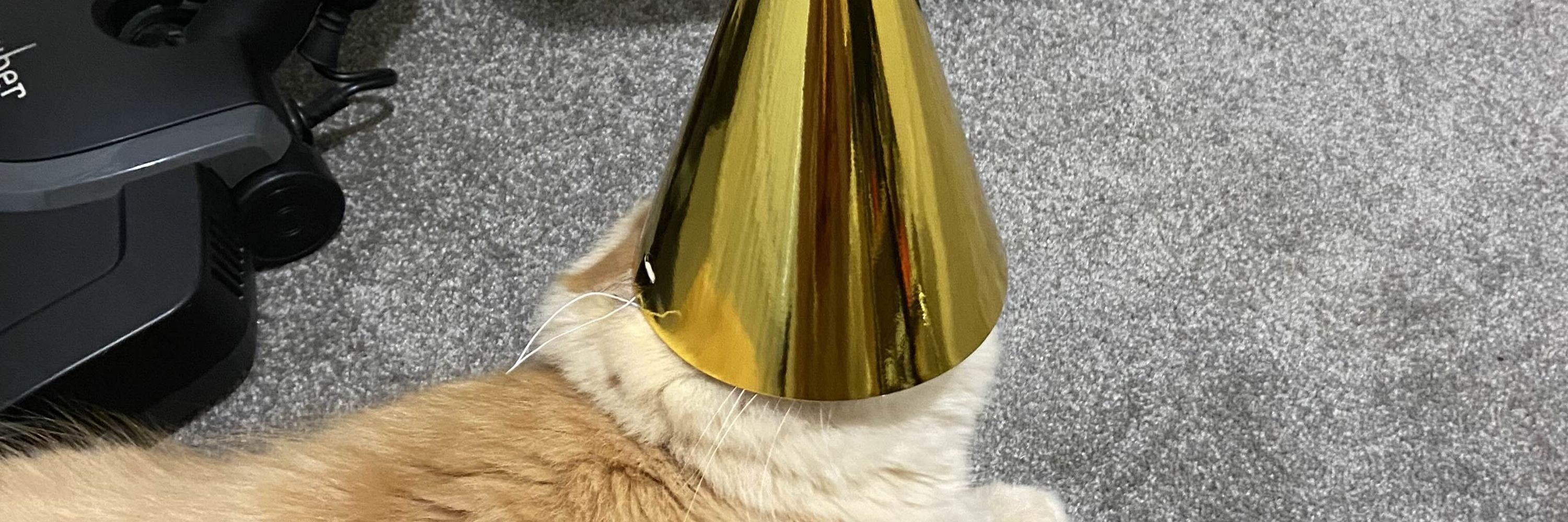 Koiio 🐈‍⬛🪐✨