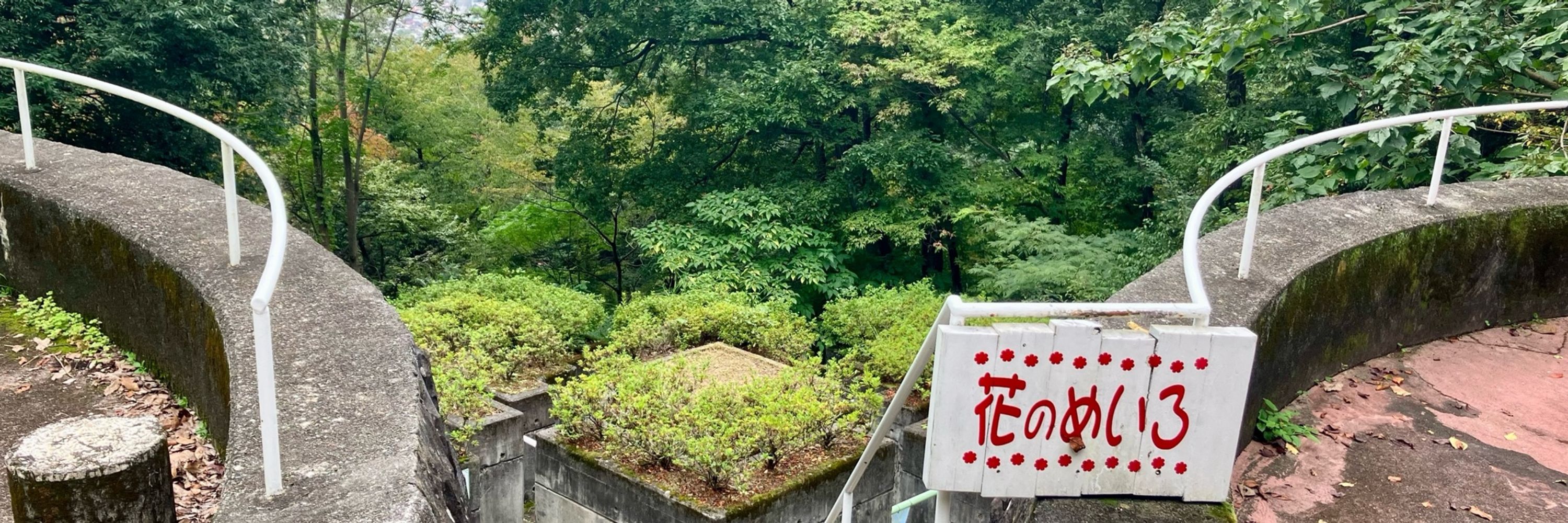 はよねろ！