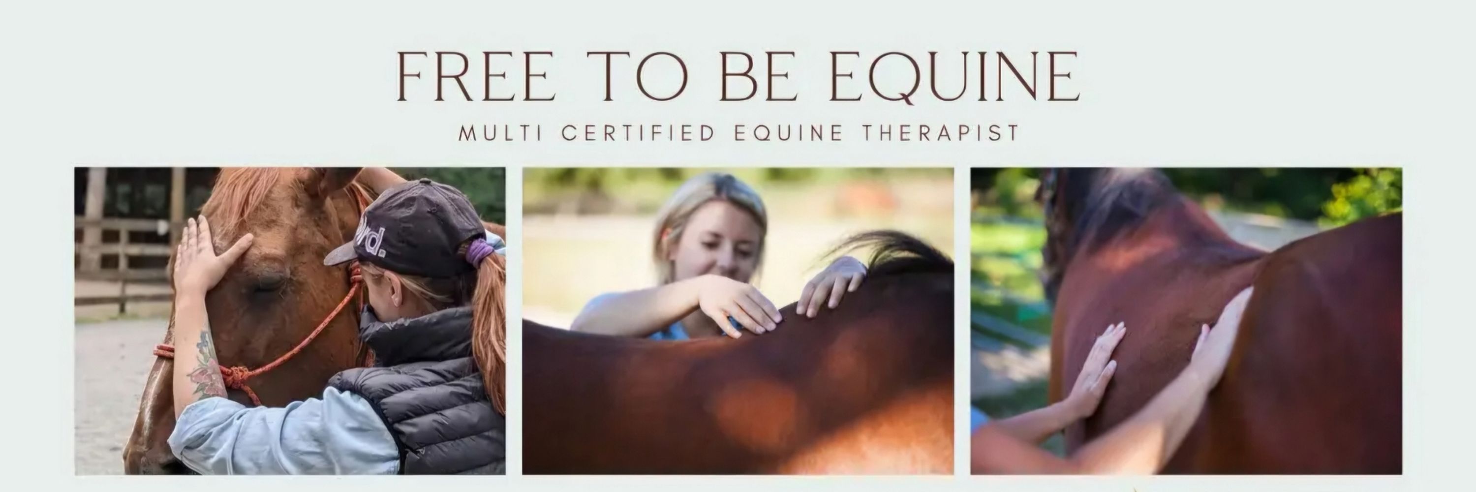 Free to Be Equine