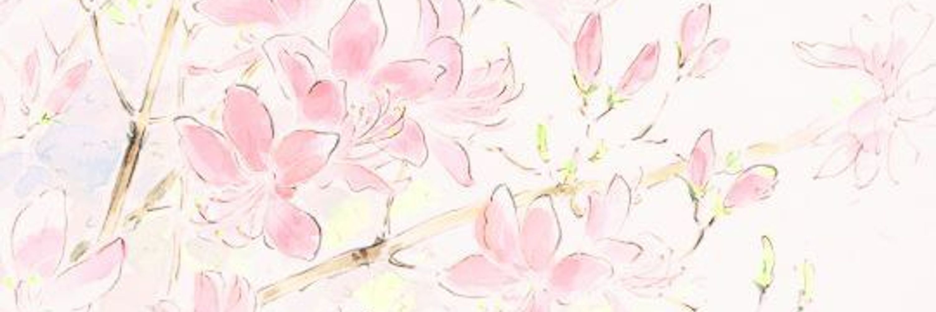 deco ୨୧
