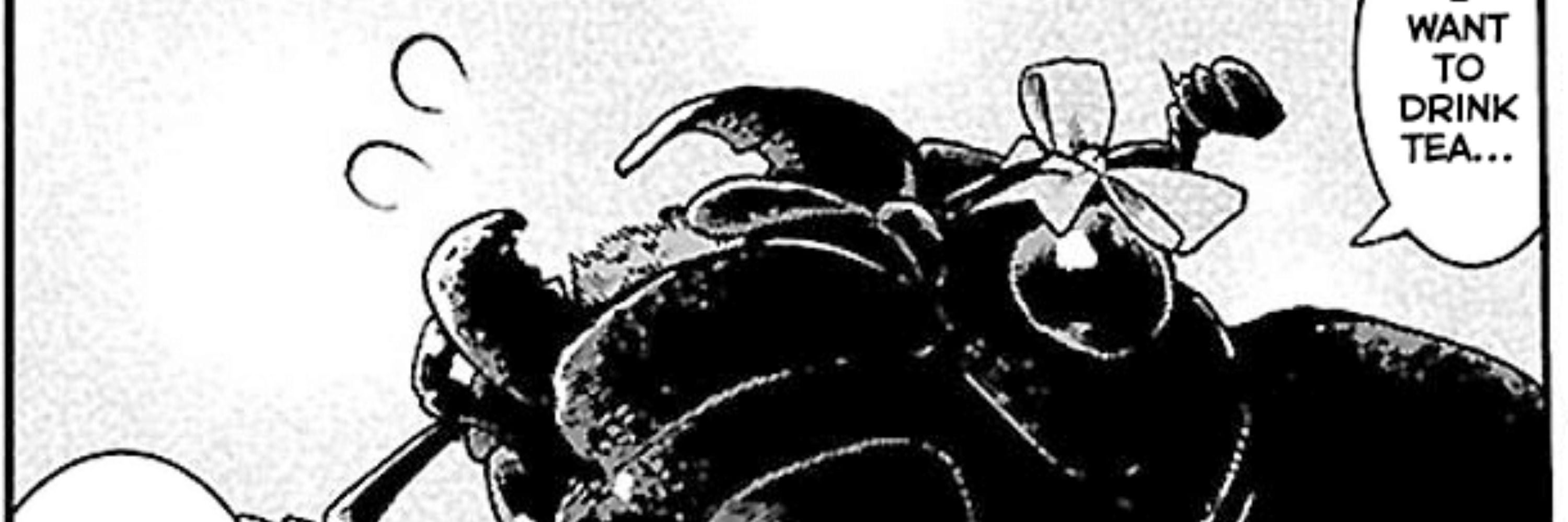 Robin Eyes 🏳️‍⚧️🪲