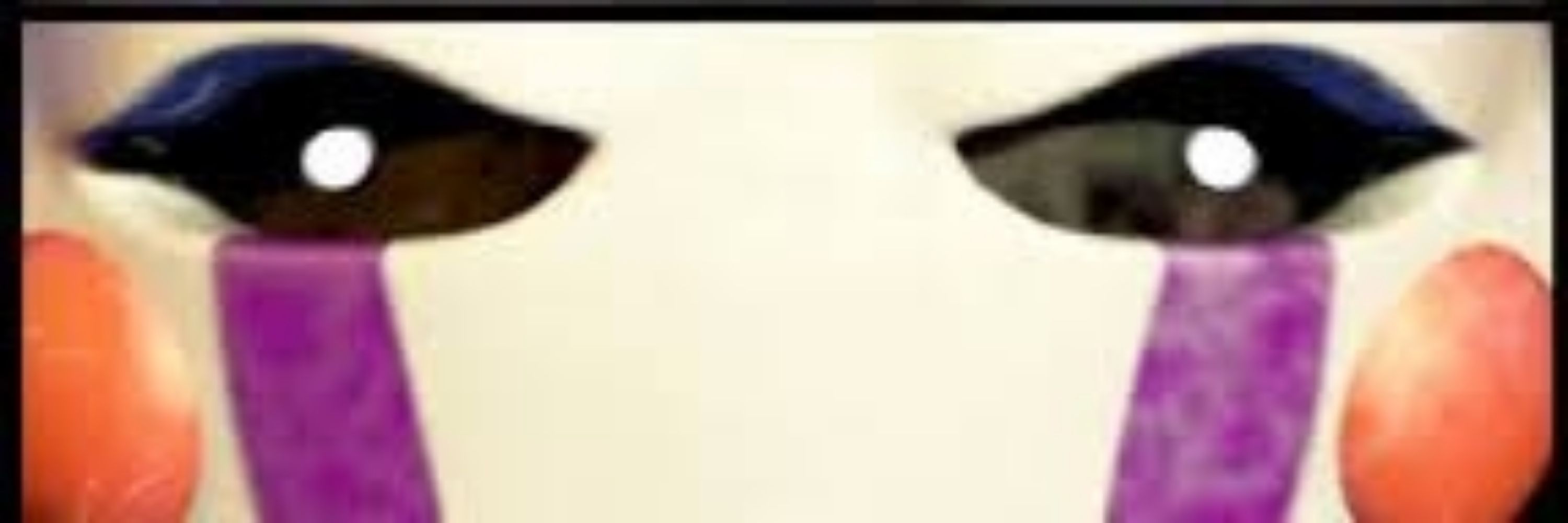 Aneku
