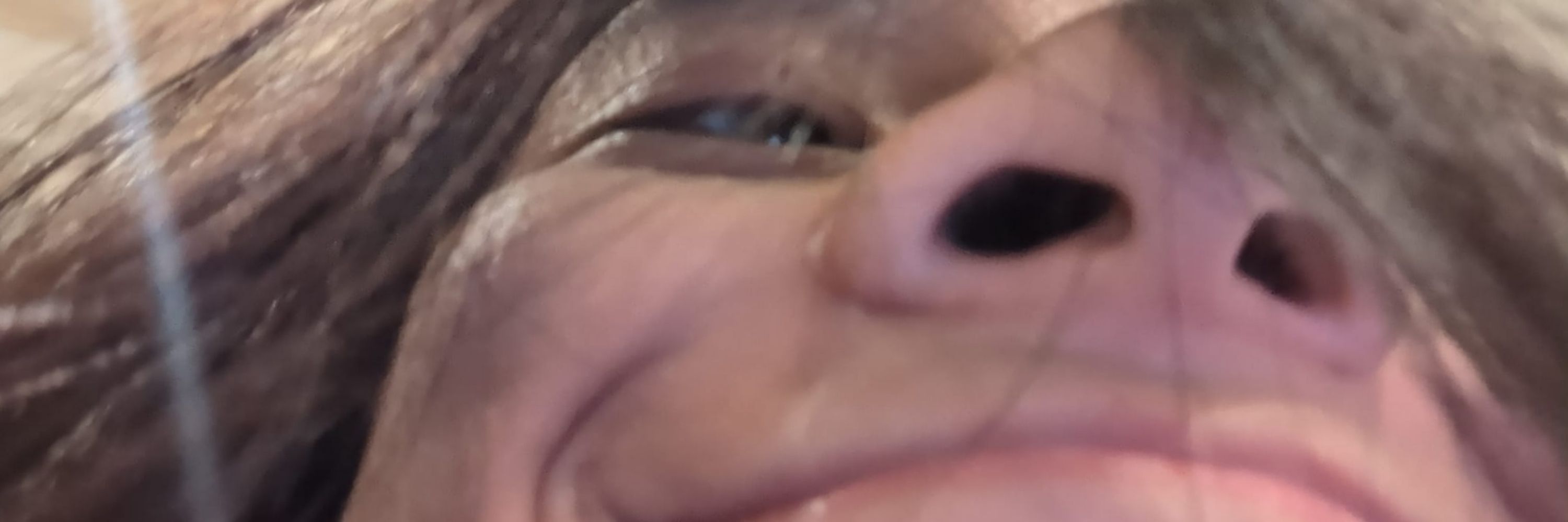 DIO
