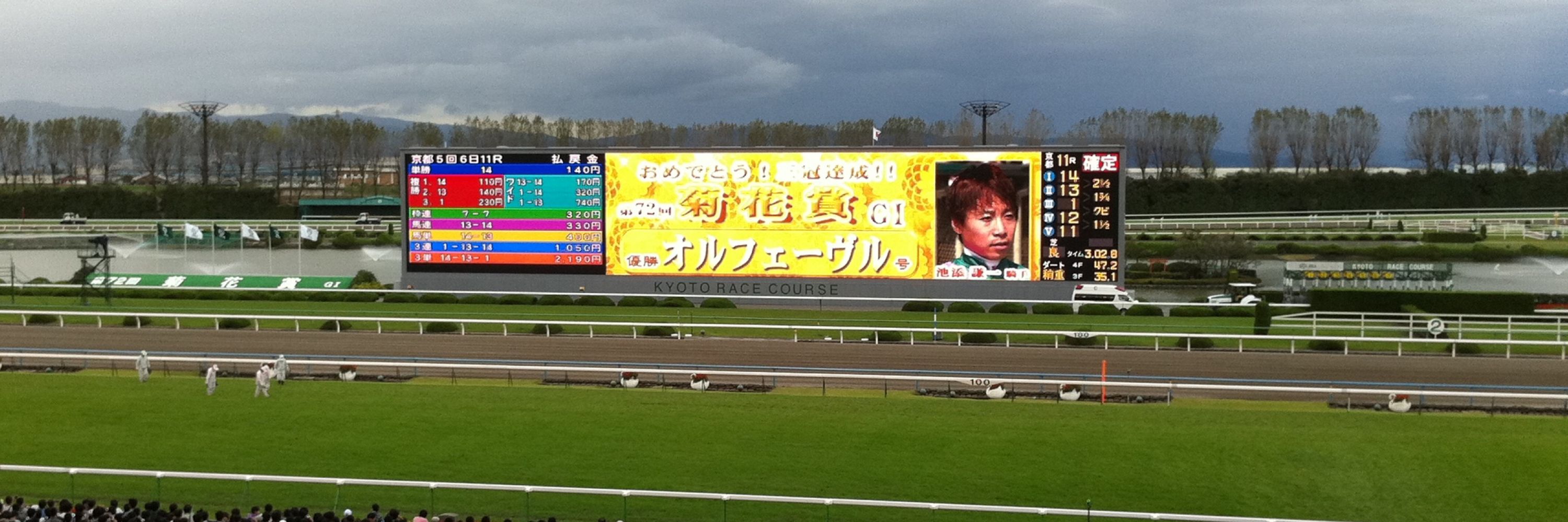 じゃがP