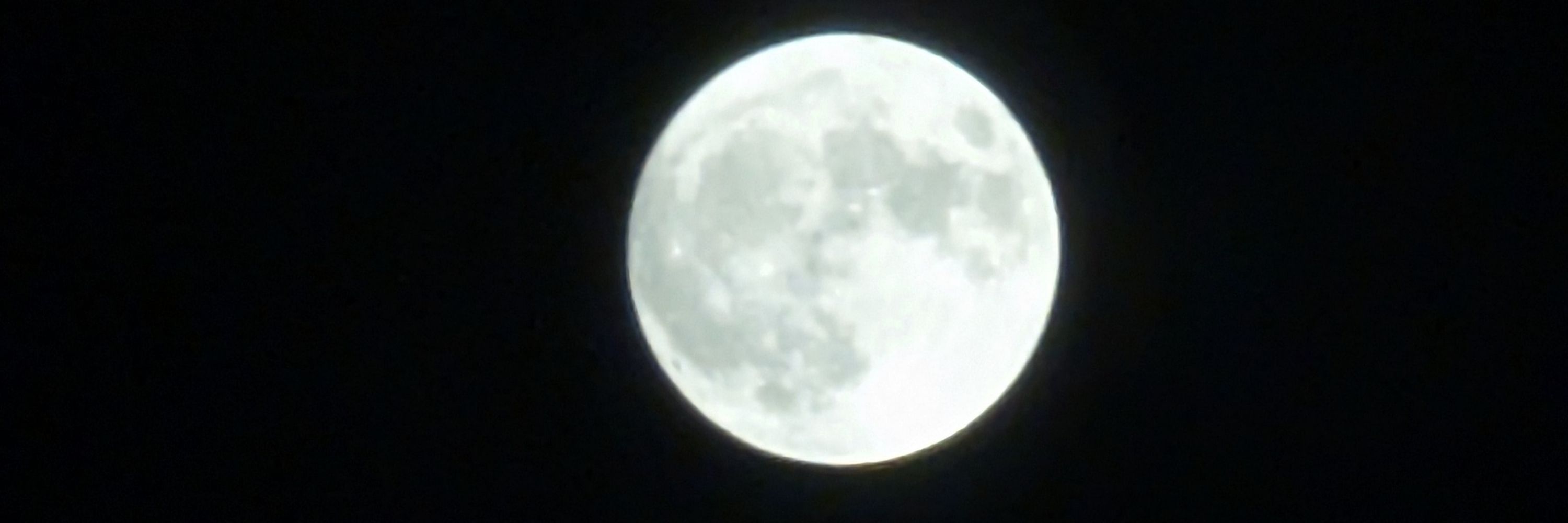 𝗬𝘂𝗸𝗮 🌙『ꜱʜᴇ ᴡᴏʟꜰ』