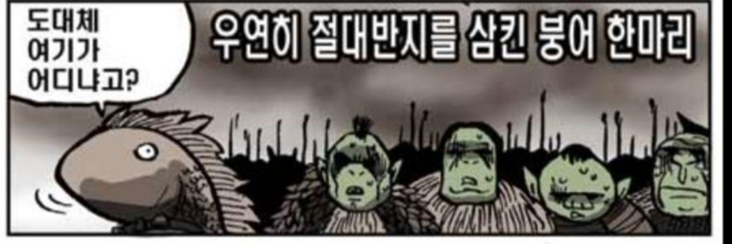 금붕어